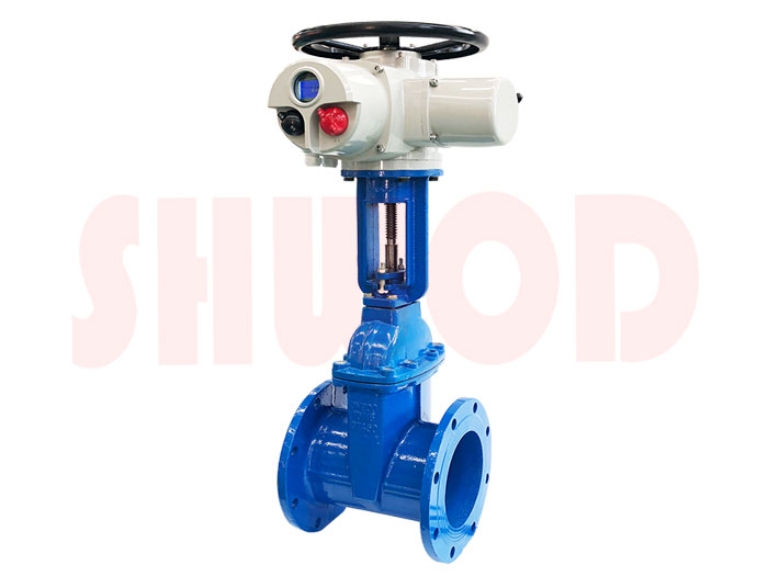 電動(dòng)閥門(mén)