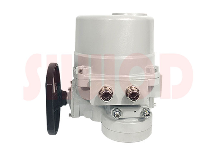 電動執(zhí)行器